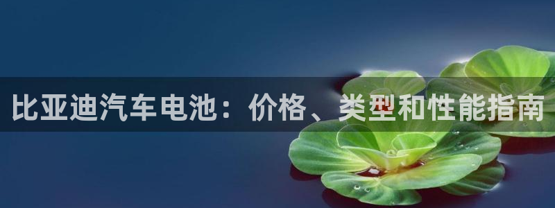优发国际官网值是多少