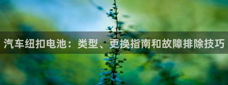 优发国际手机版网站