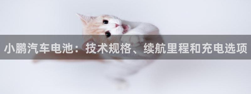 优发娱乐pc版官网