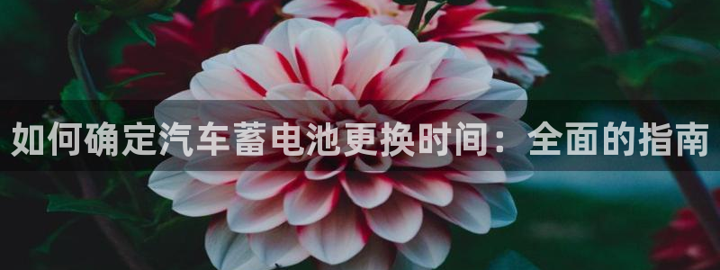 优发国际一触即发登陆：如何确定汽车蓄电池更换时间：全面的指南