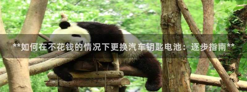优发国际官网下载安装手机版