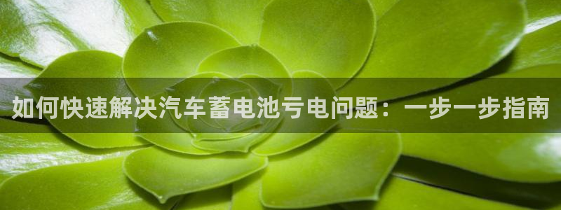 优发国际怎么样