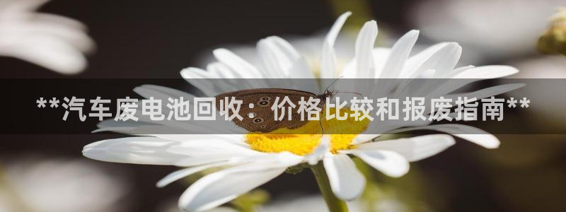 优发国际线上娱官网