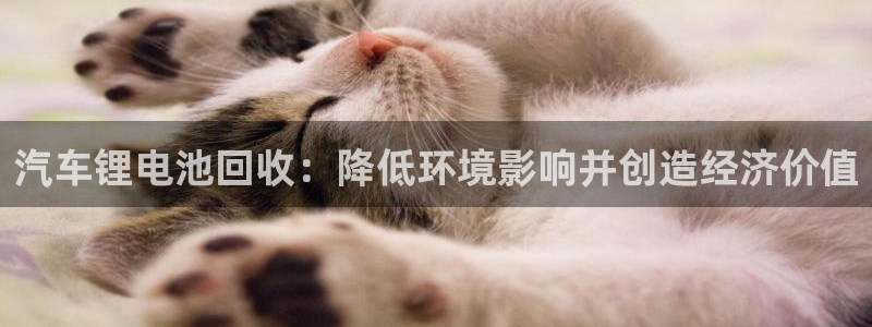 优发国际官方下载app