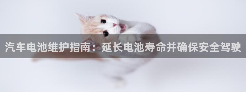 优发国际游戏官网