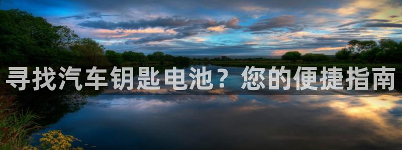 优发国际官网登录：寻找汽车钥匙电池？您的便捷指南