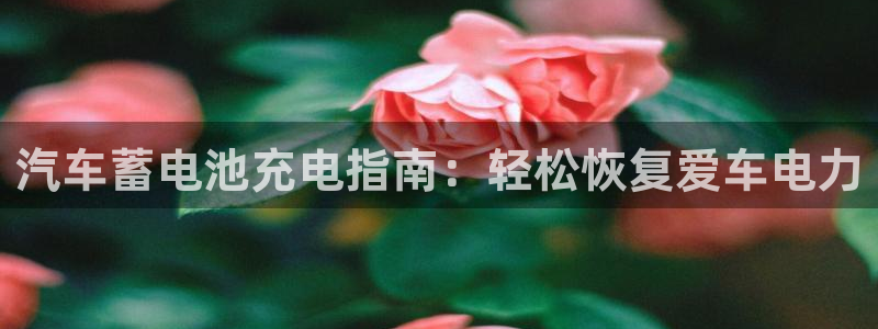 优发国际平台手机版下载安装