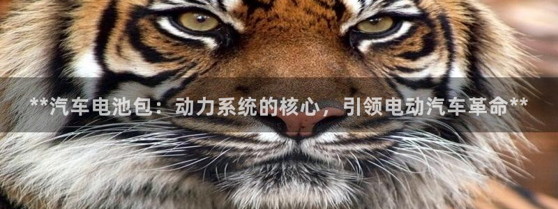 优发国际是什么