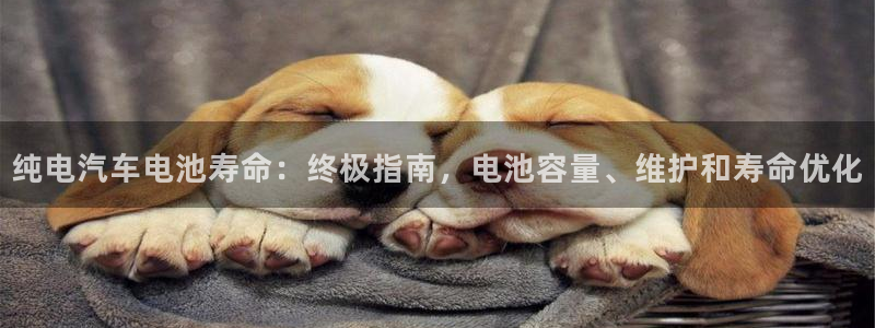 优发国际平台u8怎么样可靠吗