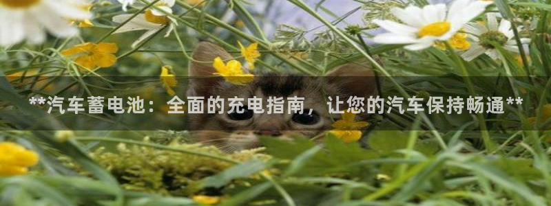 优发国际网站178