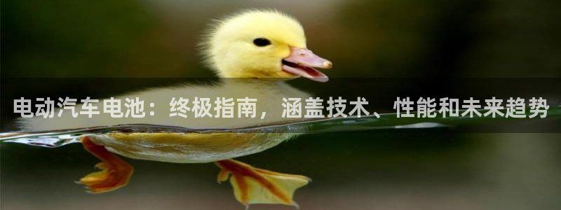优发国际不出款怎么办