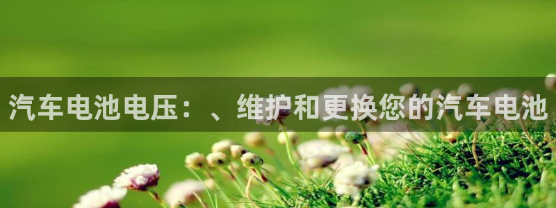 优发国际官方网平台