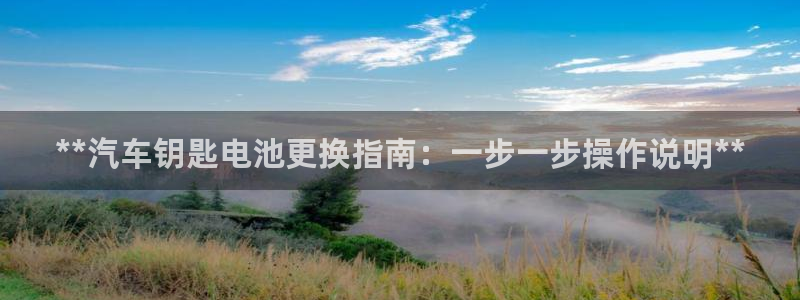 优发国际游戏官网：**汽车钥匙电池更换指南：一步一步操作说明**