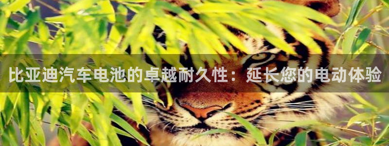 优发国际下载