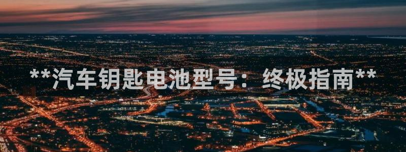 优发国际注册平台是什么：**汽车钥匙电池型号：终极指南**