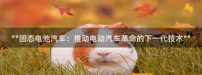 优发国际官网是多少