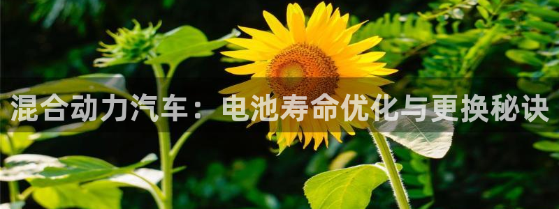优发国际手机客户端下载安装苹果