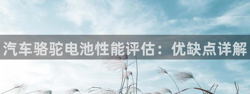 优发国际首页