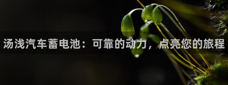 优发国际手机版官网下载
