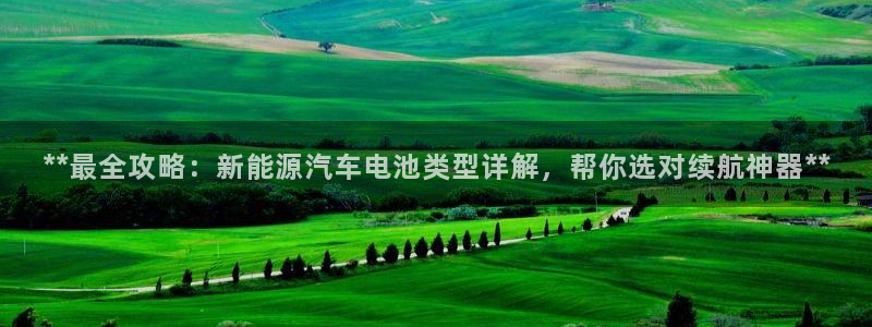 优发国际集团股份有限公司官网：**最全攻略：新能源汽车电池类型详解，帮你选对续航神器**