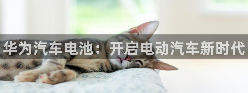 优发国际是大平台吗知乎