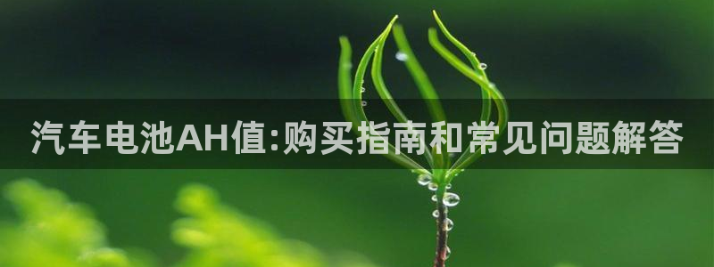 优发国际平台网站