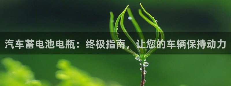 优发国际网官