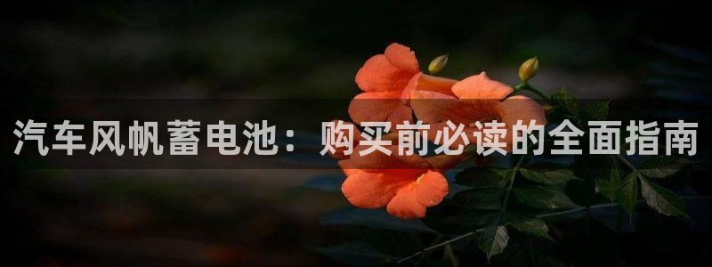 优发国际手机客户端下载安装不了