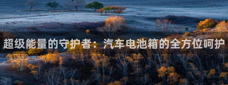 优发国际登录首页：超级能量的守护者：汽车电池箱的全方位呵护