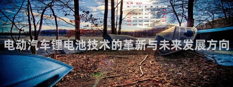 优发国际安卓版下载安装苹果：电动汽车锂电池技术的革新与未来发展方向