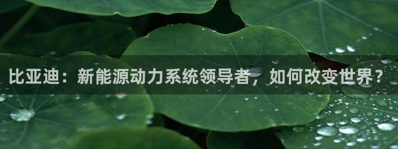 优发国际安卓版下载安装教程：比亚迪：新能源动力系统领导者，如何改变世界？