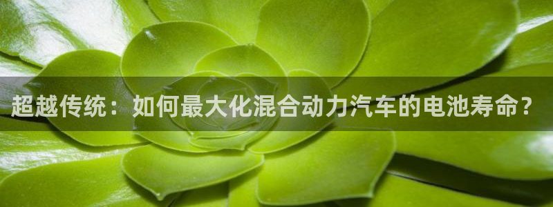 优发国际youfa966