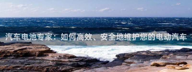 优发国际网官网：汽车电池专家：如何高效、安全地维护您的电动汽车