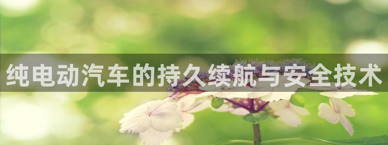 优发国际youfa：纯电动汽车的持久续航与安全技术