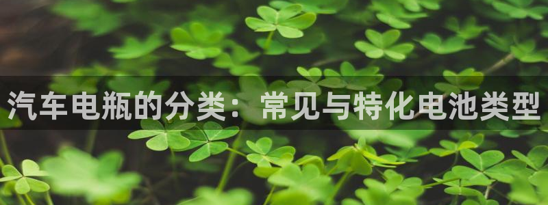 优发娱乐官网app下载：汽车电瓶的分类：常见与特化电池类型