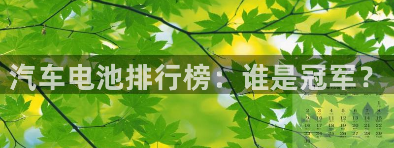 优发国际bob