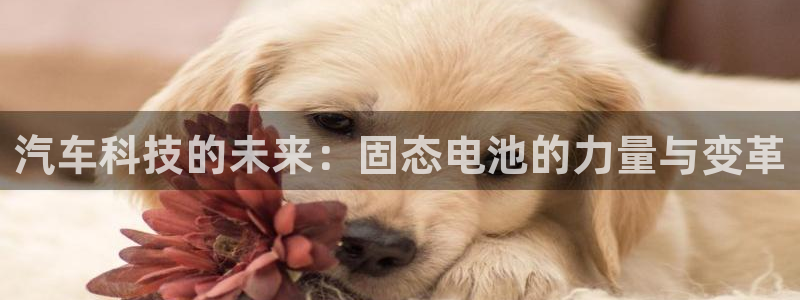 优发国际合并到哪里了最新消息