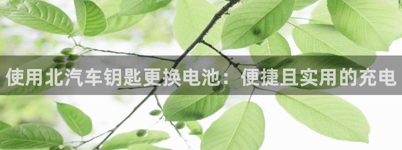 优发国际手机版网站：使用北汽车钥匙更换电池：便捷且实用的充电
