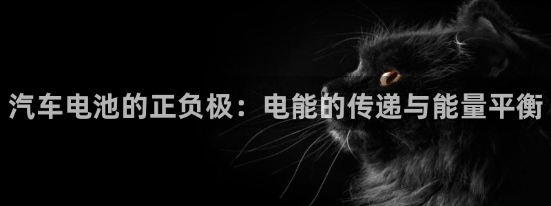 优发国际官网下载安装苹果：汽车电池的正负极：电能的传递与能量平衡