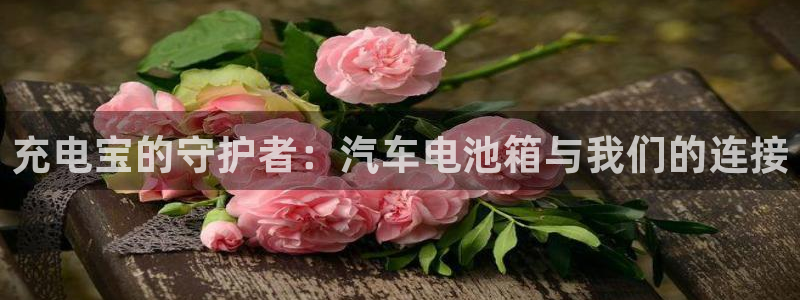 优发国际手机安装登录：充电宝的守护者：汽车电池箱与我们的连接