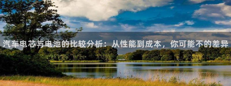 优发国际官网下载苹果版：汽车电芯与电池的比较分析：从性能到成本，你可能不的差异