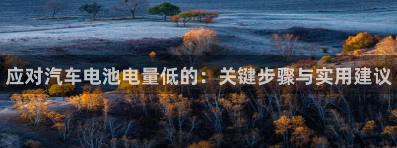 优发国际客服联系方式查询：应对汽车电池电量低的：关键步骤与实用建议