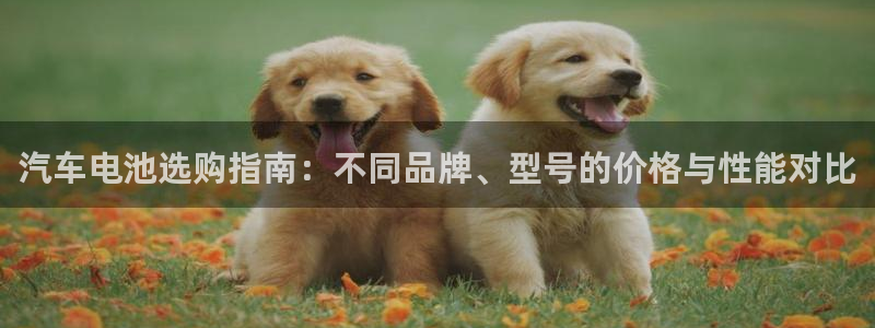 优发娱乐官网地址：汽车电池选购指南：不同品牌、型号的价格与性能对比