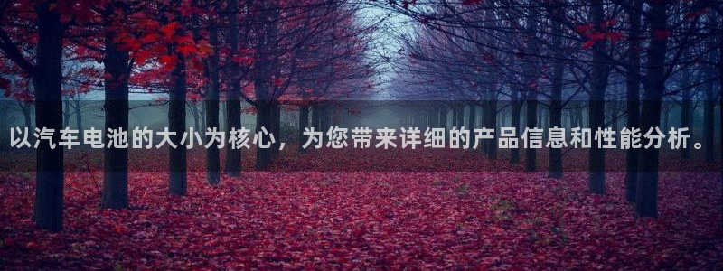 优发国际合并到哪里了最新消息：以汽车电池的大小为核心，为您带来详细的产品信息和性能分析。