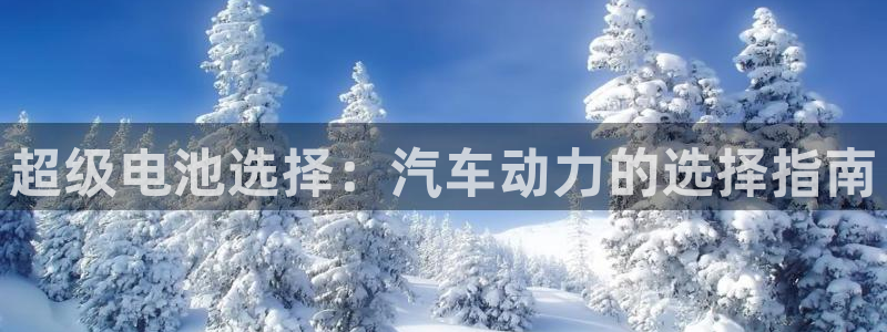 优发国际首页：超级电池选择：汽车动力的选择指南