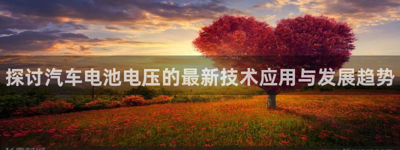 优发国际登录168：探讨汽车电池电压的最新技术应用与发展趋势