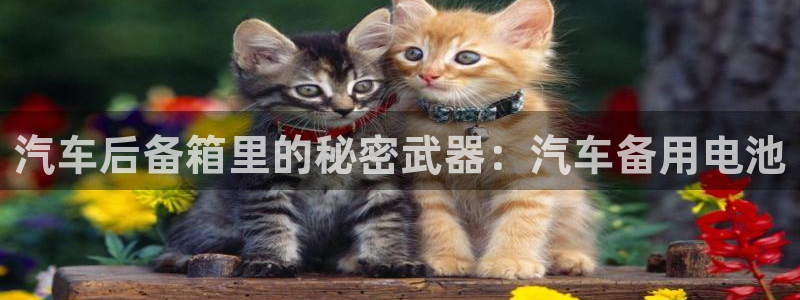 优发国际是大平台吗：汽车后备箱里的秘密武器：汽车备用电池