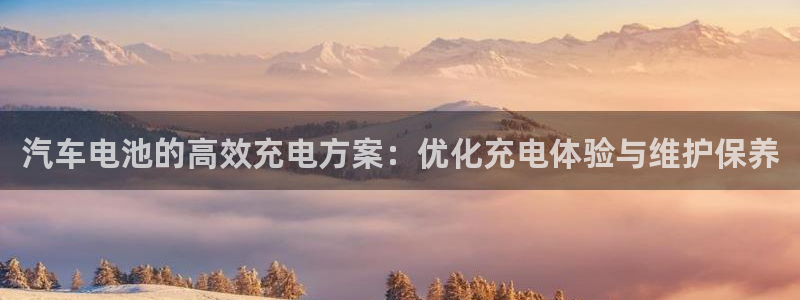 优发国际网官网17k8：汽车电池的高效充电方案：优化充电体验与维护保养