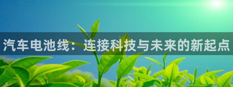 优发国际官网入口app下载：汽车电池线：连接科技与未来的新起点