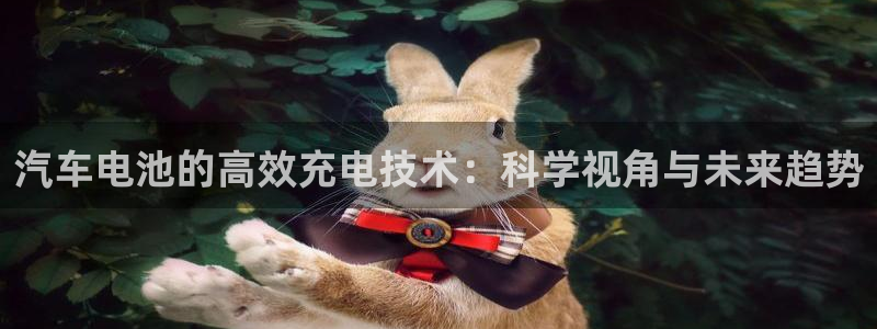优发国际官网登陆：汽车电池的高效充电技术：科学视角与未来趋势